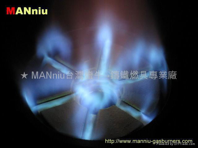 G01   Fast gas burners 2
