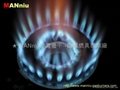 L12   Fast gas burners 2