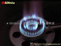 L22   fast gas burners