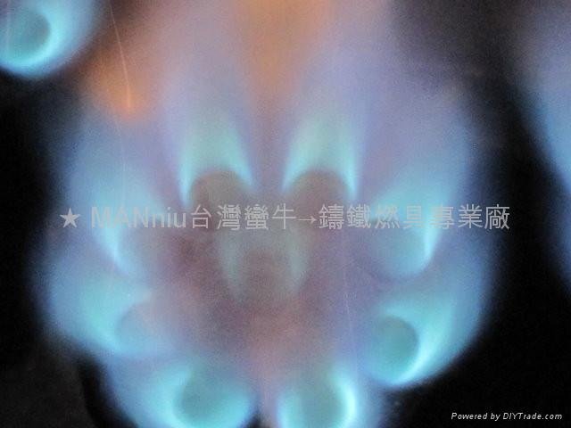 NP12V   雙管12頭天然氣噴火爐 5