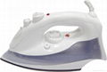 Hotel steam iron