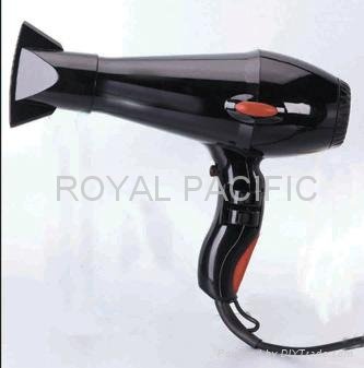 Professional hair dryer