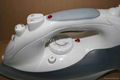 Hotel steam iron