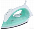 Steam iron