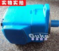 45V60A-1B-22R低噪声高压泵 1