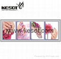 Nail Decor Painting  Canvas Mural 1