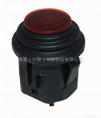 Waterproof Push-button Switch