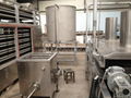 Automatic continuous fryer  for fry nuts