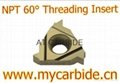 National Pipe Thread (NPT) 55° Threading Insert