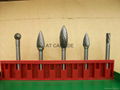 Carbide Burs 1