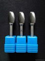 Carbide Rotary Burrs 