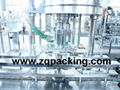 FXZ-1 capping machine