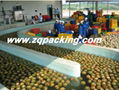 Automatic Tropic Fruit Pineapple juice Processing Line/machine/equipment /plant  1