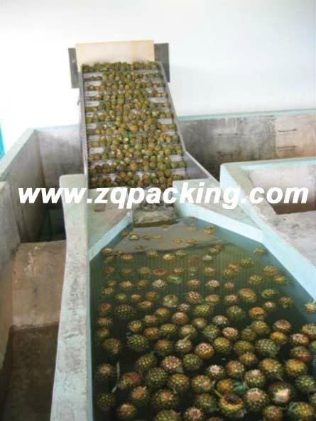 Automatic Tropic Fruit Pineapple juice Processing Line/machine/equipment /plant  2