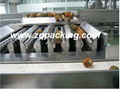 Automatic Tropic Fruit Pineapple juice Processing Line/machine/equipment /plant 