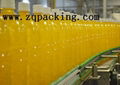 Juice Bottle Conveying Belt system ,Belt Transmission Conveyor chain