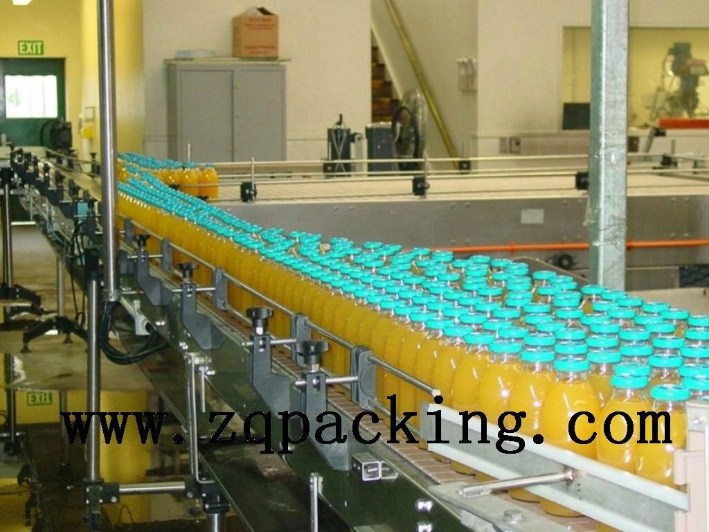 Juice Bottle Conveying Belt system ,Belt Transmission Conveyor chain 3