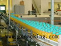 Juice Bottle Conveying Belt system ,Belt Transmission Conveyor chain