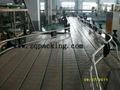 Juice Bottle Conveying Belt system ,Belt Transmission Conveyor chain