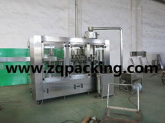 Mineral water Filling Machine