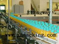 Slat chain conveyor for filled juice bottle 