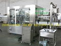 Automatic bottled drinking water production line/plant 