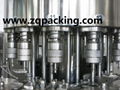 Complete Bottle Water Production Line/Pure Water Bottling Plant 