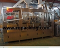 Apple nectar filling machinery in bottles 