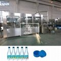 Bottle Liquid Filling And Capping Machine 