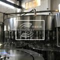 Longway automatic purified water filling system  5