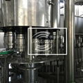 Longway automatic purified water filling system  6