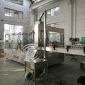 0.25-2L Complete Water Filling Equipment