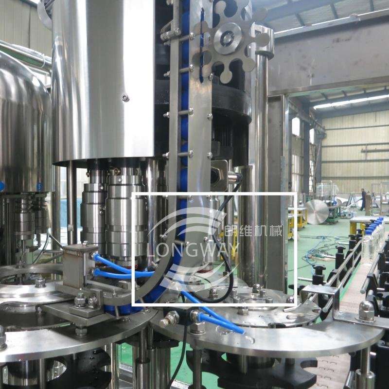 2017 LONGWAY New Technical liquid bottling equipment  3