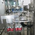 non-carbonated water bottle Washing filling capping device 