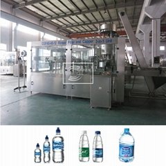 CGF40-40-12 Rotary Water Rinsing Filling Capping Machine 
