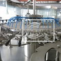 CGF40-40-12 Rotary Water Rinsing Filling Capping Machine 