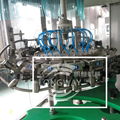 BDGFGlass bottle beer Washing filling Crown Capping Machine 