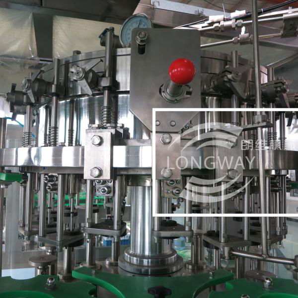 BDGFGlass bottle beer Washing filling Crown Capping Machine  4