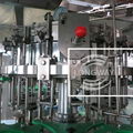 BDGFGlass bottle beer Washing filling Crown Capping Machine 