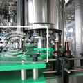BDGFGlass bottle beer Washing filling Crown Capping Machine 