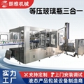 DCGF32-32-10 Carbonated Water / Gasified