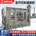 DCGF 40-40-12 Carbonated beverage bottling machines 