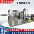 3 In 1 Automatic Soft Beverage Bottling