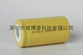 High Temperature Battery