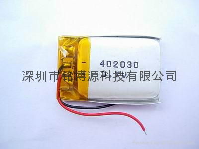 Polymer batteries 