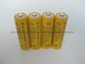 Lawn lamp battery 2