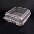 Plastic Food Container (Strawberry Box) 1