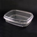 Plastic Food Container (Fruit Box) 1