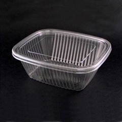 Plastic Food Container (Fruit and salad