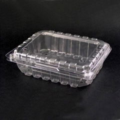 Plastic Food Container (Fruit Box)